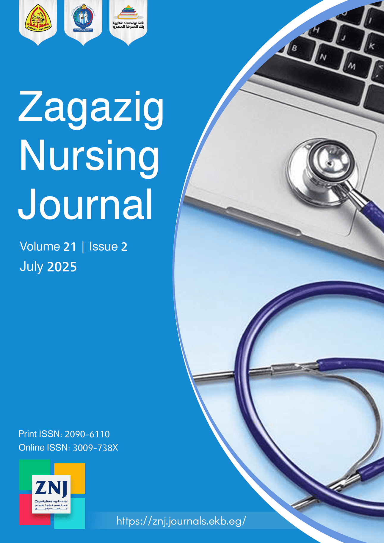 Zagazig Nursing Journal